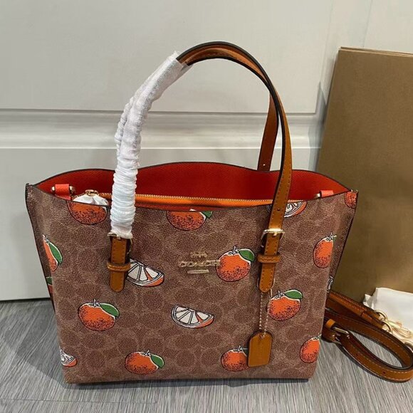 COACH Teri  Bag, Size 25cm - Picture 1 of 9